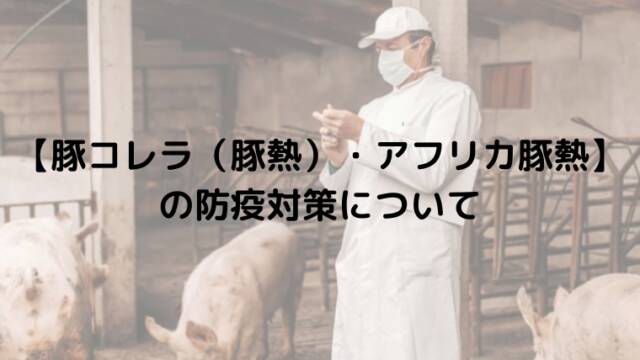 【豚コレラ（豚熱）・アフリカ豚熱】の防疫対策について