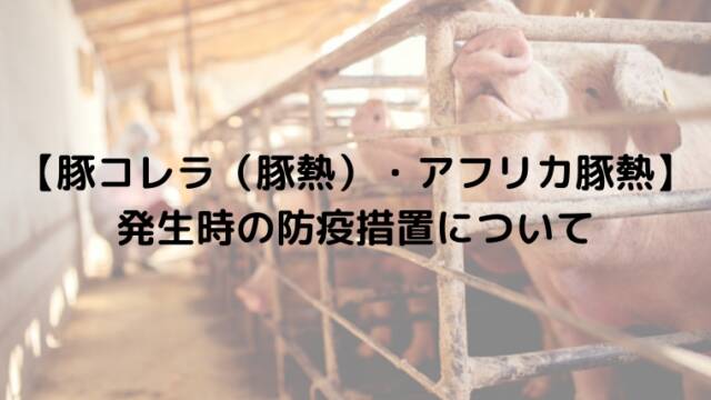 【豚コレラ（豚熱）・アフリカ豚熱】発生時の防疫措置について