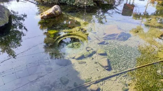 西之川ハリヨの池広場　湧水