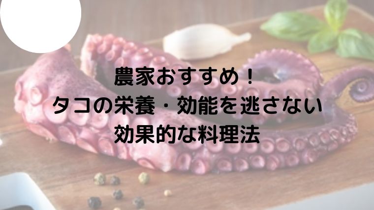 農家おすすめ タコの栄養 効能を逃さない効果的な料理法 のうぎょうとぼく