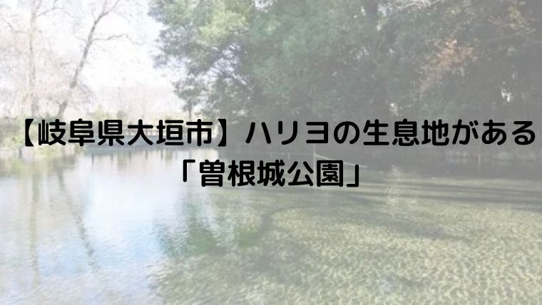 【岐阜県大垣市】ハリヨの生息地がある 「曽根城公園」