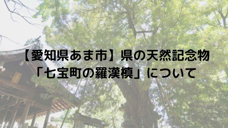 【愛知県あま市】県の天然記念物「七宝町の羅漢槙」について