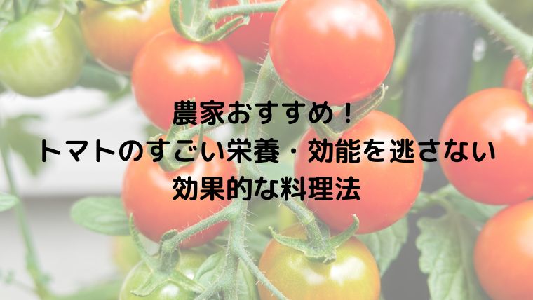 農家おすすめ！トマトのすごい栄養・効能を逃さない効果的な料理法
