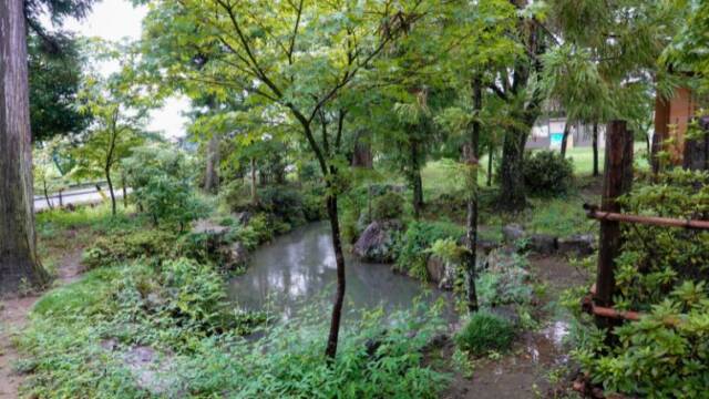加賀野ハリヨ池