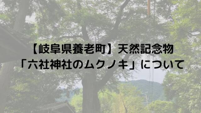 【岐阜県養老町】天然記念物「六社神社のムクノキ」について