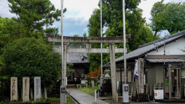 加賀野八幡神社　全景