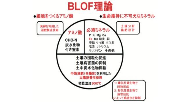 BLOF理論