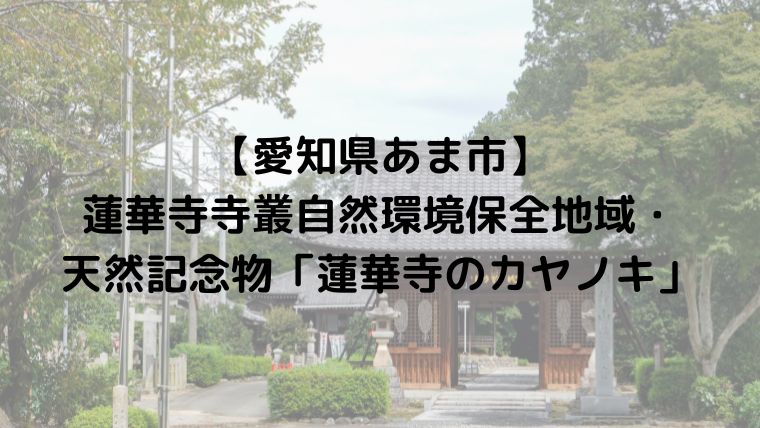 【愛知県あま市】蓮華寺寺叢自然環境保全地域・天然記念物「蓮華寺のカヤノキ」|のうぎょうとぼく