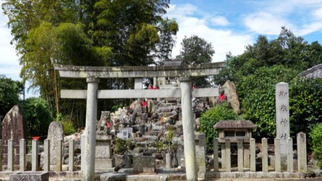 【愛知県あま市】蓮華寺寺叢自然環境保全地域・天然記念物「蓮華寺のカヤノキ」|のうぎょうとぼく