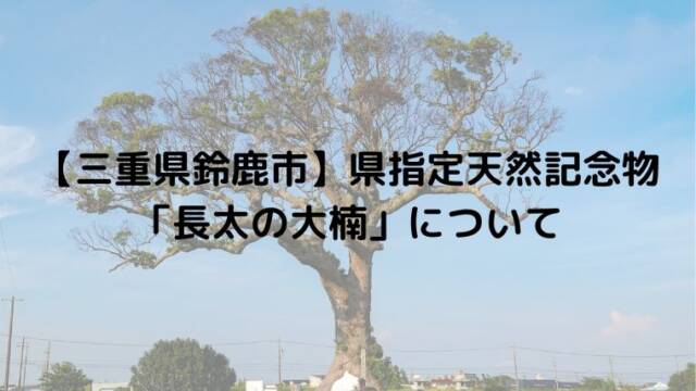 【三重県鈴鹿市】県指定天然記念物「長太の大楠」について