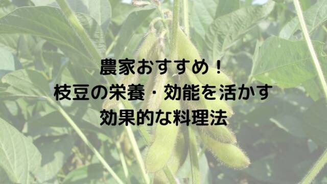 農家おすすめ！枝豆の栄養・効能を活かす効果的な料理法