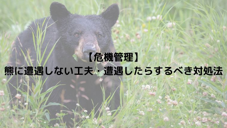 【危機管理】熊に遭遇しない工夫・遭遇したらするべき対処法