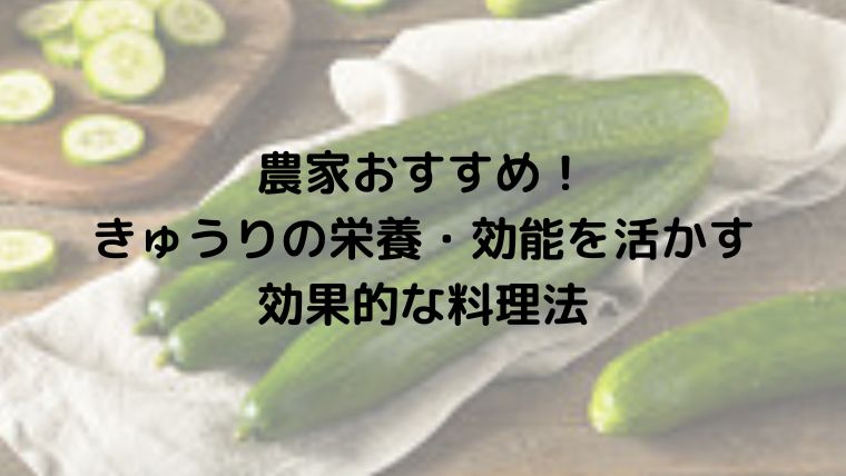 農家おすすめ！きゅうりの栄養・効能を活かす効果的な料理法