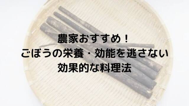 農家おすすめ！ごぼうの栄養・効能を逃さない効果的な料理法