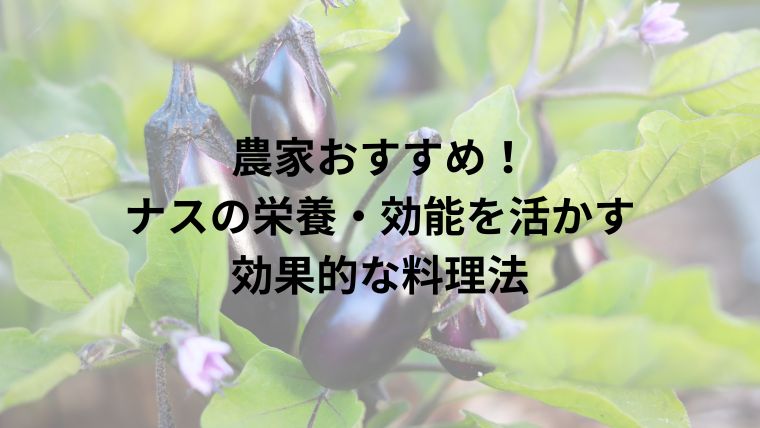 農家おすすめ！ナスの栄養・効能を活かす効果的な料理法