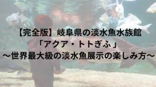 【完全版】岐阜県の淡水魚水族館「アクア・トトぎふ 」 ～世界最大級の淡水魚展示の楽しみ方～ - 1