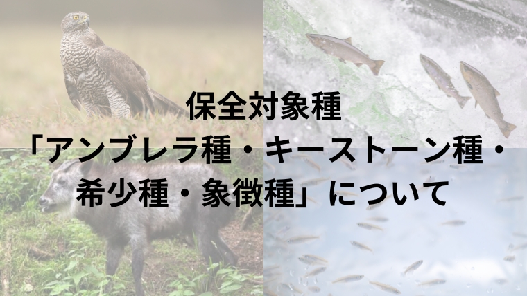 保全対象種「アンブレラ種・キーストーン種・希少種・象徴種」について|のうぎょうとぼく