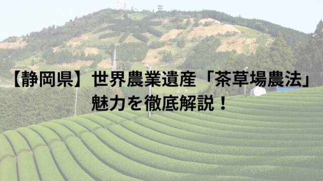 【静岡県】世界農業遺産「茶草場農法」魅力を徹底解説！