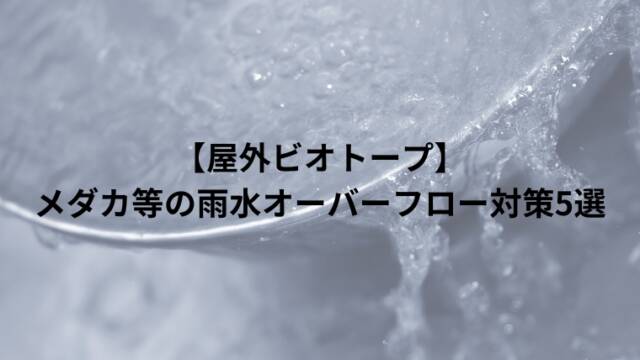 【屋外ビオトープ】メダカ等の雨水オーバーフロー対策5選