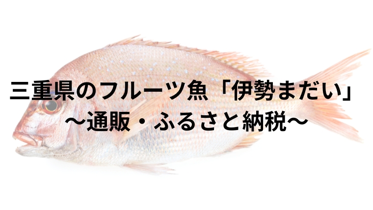 三重県のフルーツ魚「伊勢まだい」～通販・ふるさと納税～