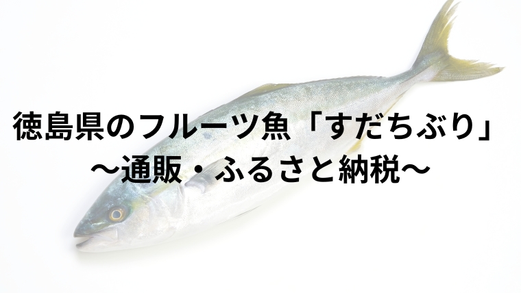 徳島県のフルーツ魚「すだちぶり」～通販・ふるさと納税～