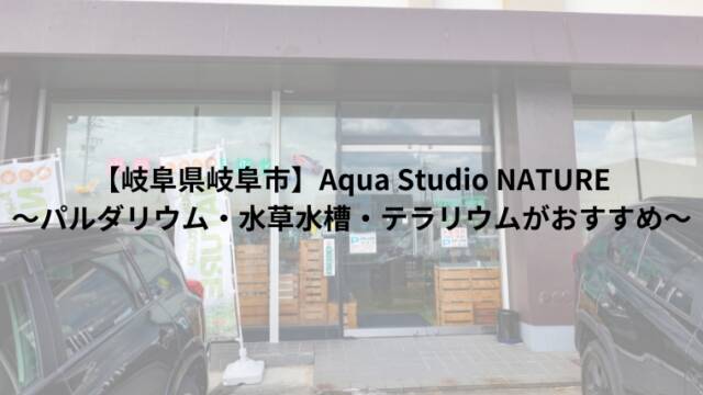 【岐阜県岐阜市】Aqua Studio NATURE～パルダリウム・水草水槽・テラリウムがおすすめ～