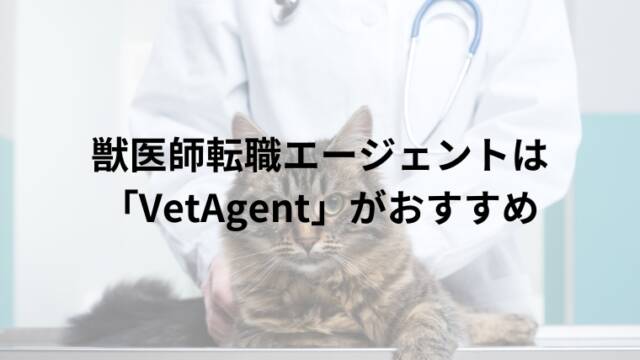 獣医師転職エージェントは「VetAgent」がおすすめ