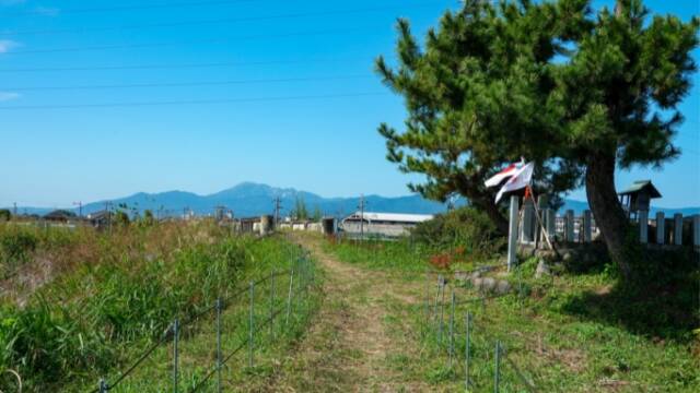 五六閘門と川崎神社