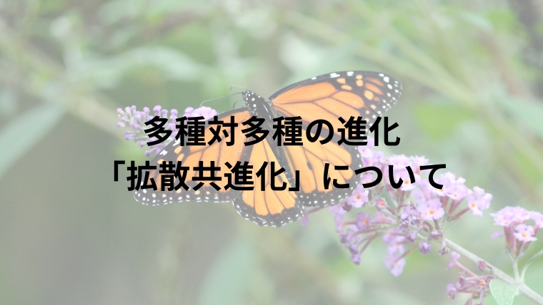 多種対多種の進化「拡散共進化」について｜のうぎょうとぼく