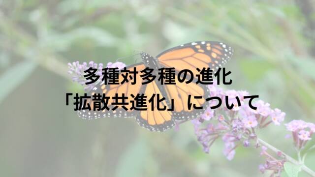 多種対多種の進化「拡散共進化」について