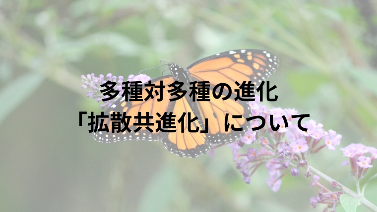 多種対多種の進化「拡散共進化」について