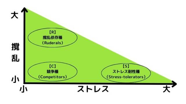 C-S-R三角形理論（CSR戦略）