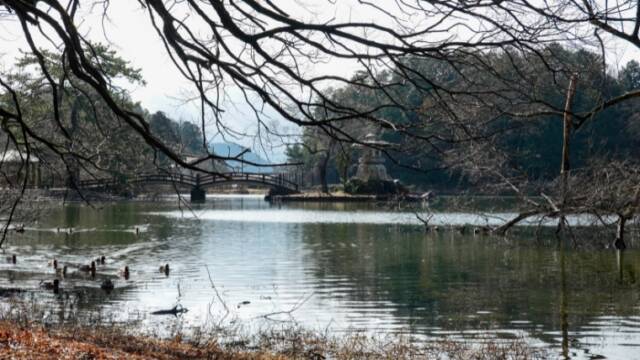 三島池