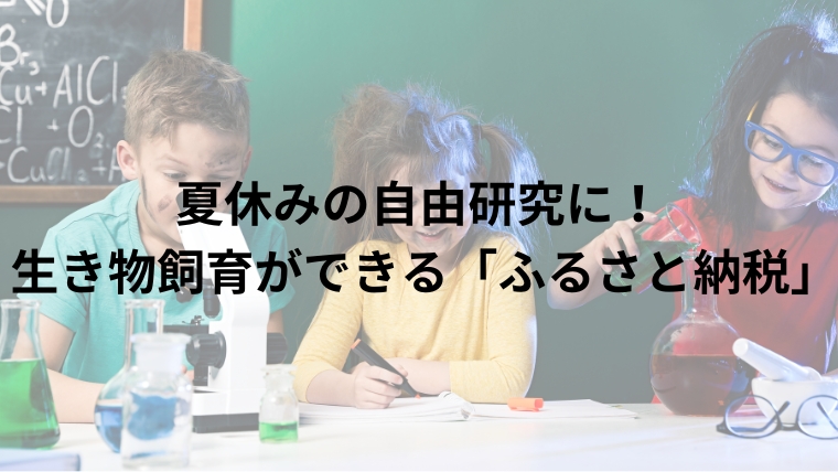 夏休みの自由研究に！ 生き物飼育ができる「ふるさと納税」