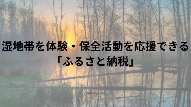 湿地帯を体験・保全活動を応援できる「ふるさと納税」