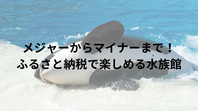 メジャーからマイナーまで！ ふるさと納税で楽しめる水族館