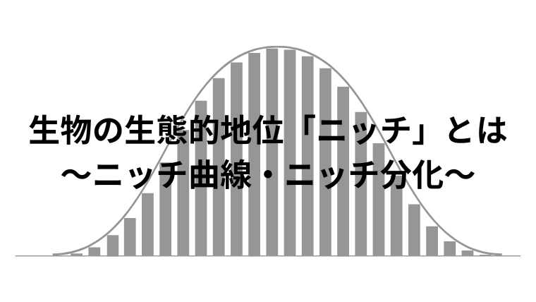 生物の生態的地位「ニッチ」とは～ニッチ曲線・ニッチ分化～