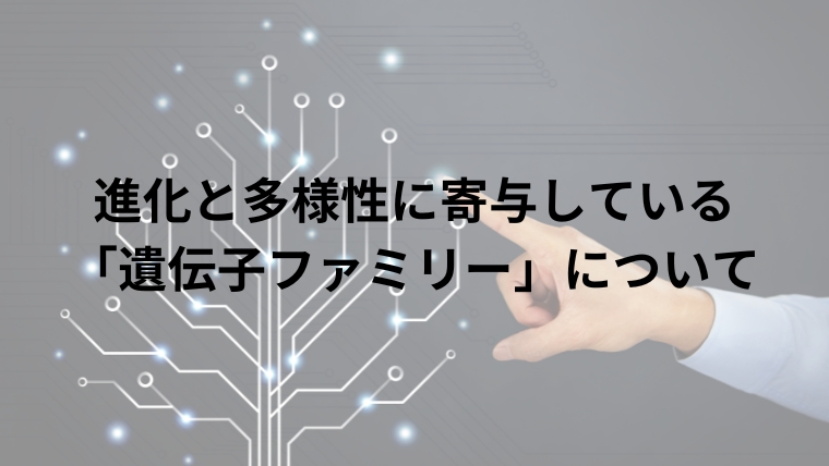 進化と多様性に寄与している「遺伝子ファミリー」について